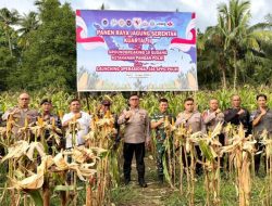 Wakapolda Malut Panen Jagung di Sofifi