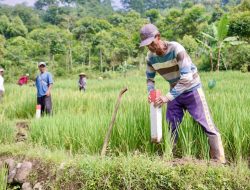 Cara Cegah Sengketa Tanah dengan Tetangga