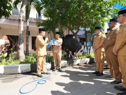 Kemendagri Berqurban 215 Ekor Sapi dan 145 Ekor Kambing