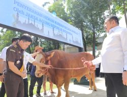Kejagung Berqurban 57 Ekor Sapi
