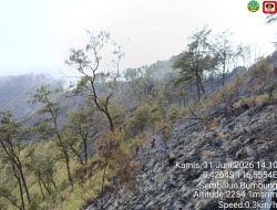 Kebakaran Hutan di NTB, 25 Pendaki Nyaris Korban Berhasil Dievakuasi