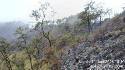 Kebakaran Hutan di NTB, 25 Pendaki Nyaris Korban Berhasil Dievakuasi