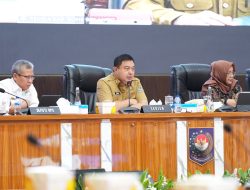 Beras Naik Menggila, Pemda Diminta Segera Intervensi Harga
