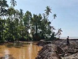 Diduga Langgar UU, LATAMLA Serukan Hentikan Aktifitas Feni Haltim