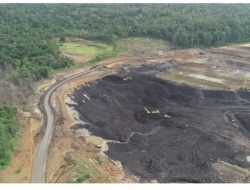 61 Persen Daratan Maluku Utara Dikuasai Investasi Hutan dan Tambang