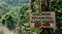 LATAMLA Adukan Para Perusak Hutan Lindung di Sula