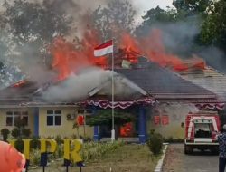 Kantornya Dilahap Sijago Merah Kepala Dinas Mohon Maaf